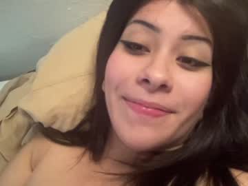 Cam for pablosstable