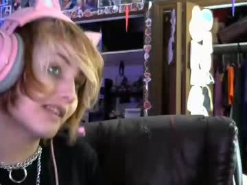 Cam for penguin_effect